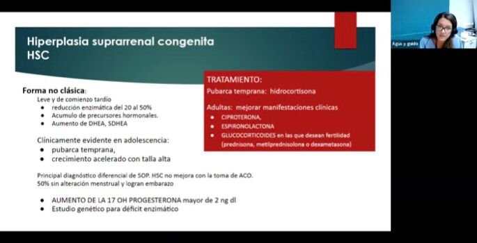 Resimed foto grupal 2013